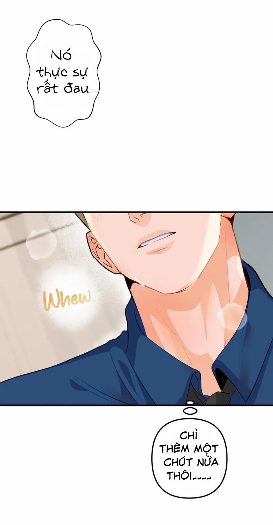 Bản Báo Cáo Bắt Giữ Tuyến Tiền Liệt 4 trang 26