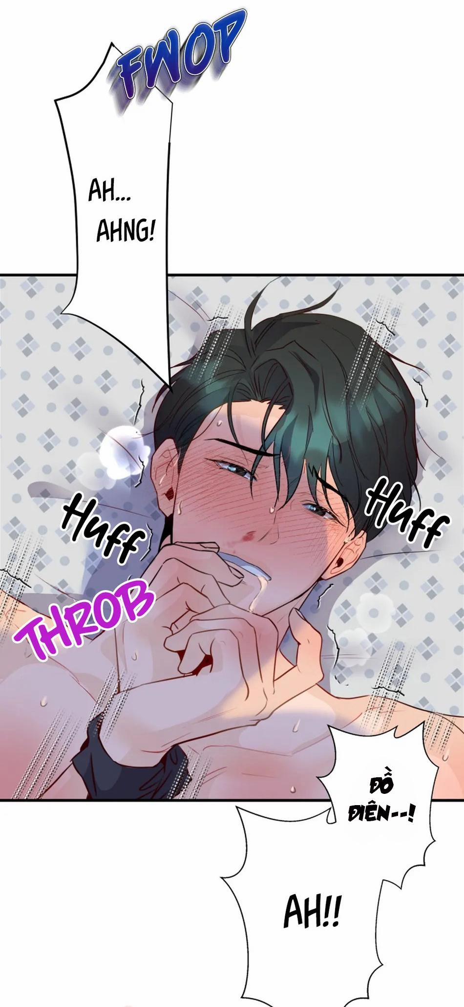 Bản Báo Cáo Bắt Giữ Tuyến Tiền Liệt 5 trang 11