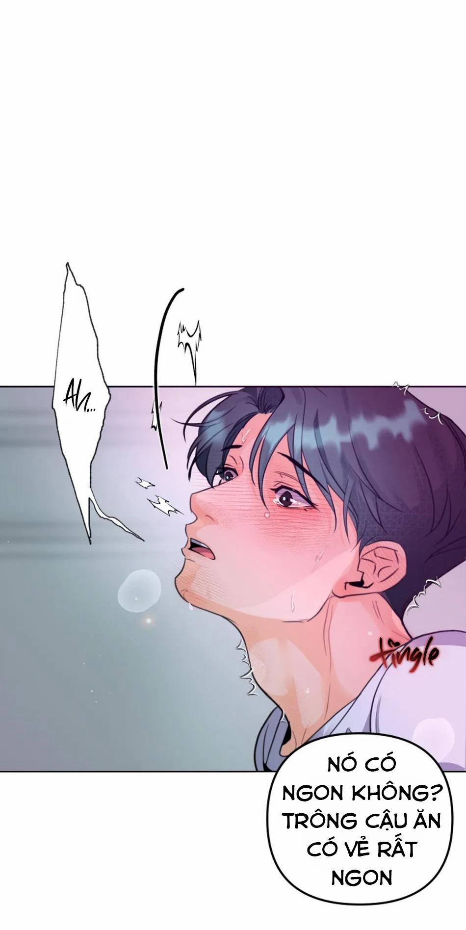 Bản Báo Cáo Bắt Giữ Tuyến Tiền Liệt 6 trang 26