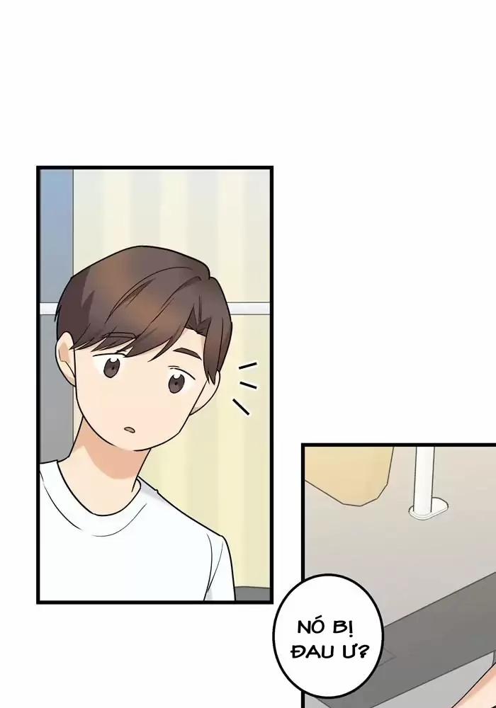 Bạn Của Tôi Đang Phát Sáng Kìa 31 trang 38