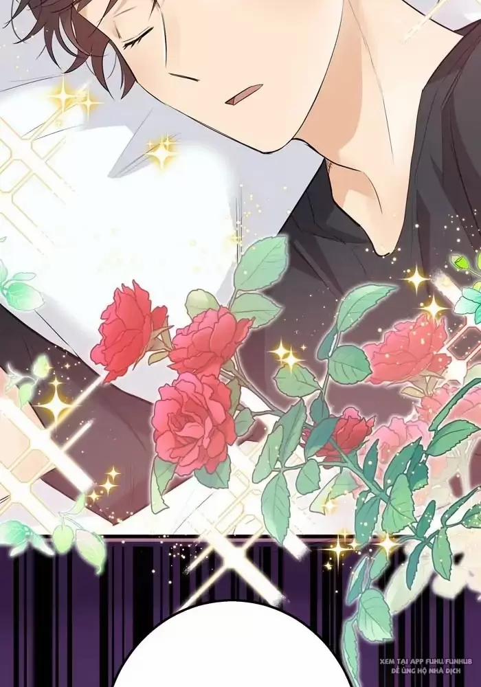 Bạn Của Tôi Đang Phát Sáng Kìa 34 trang 30