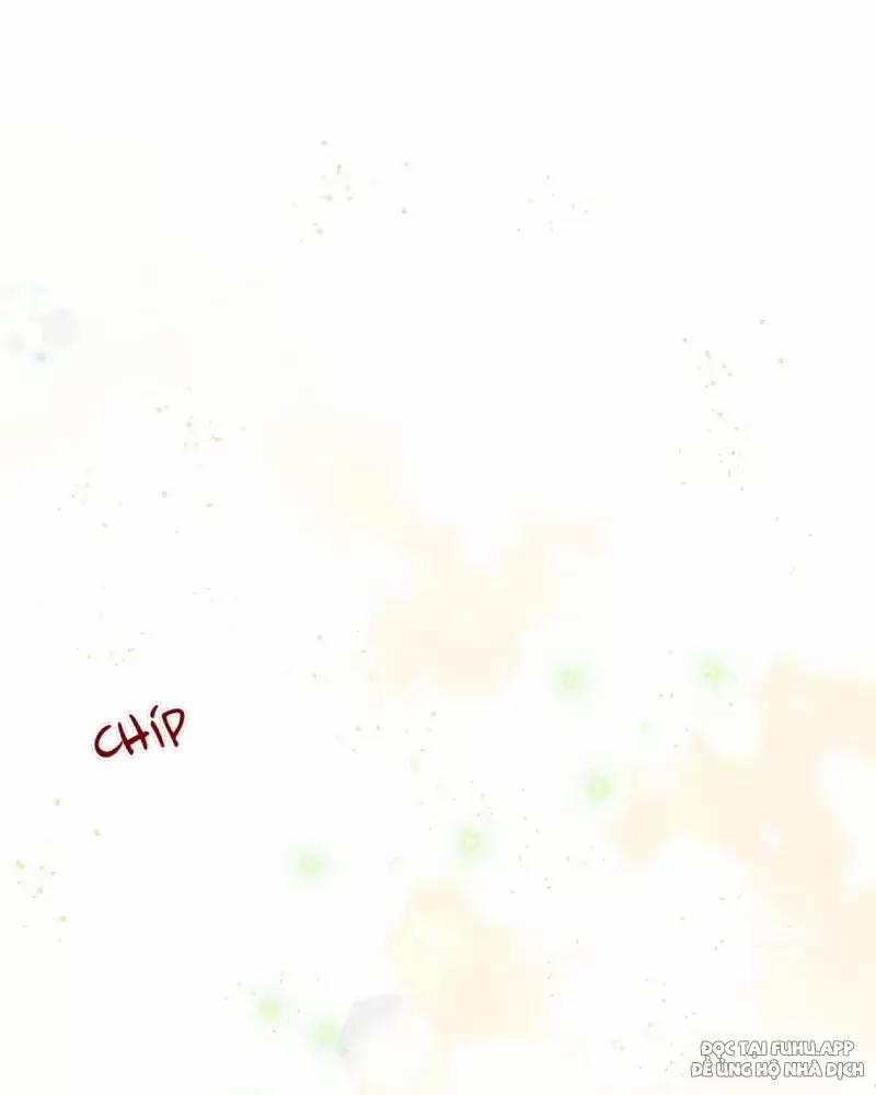 Bạn Của Tôi Đang Phát Sáng Kìa 6 trang 36