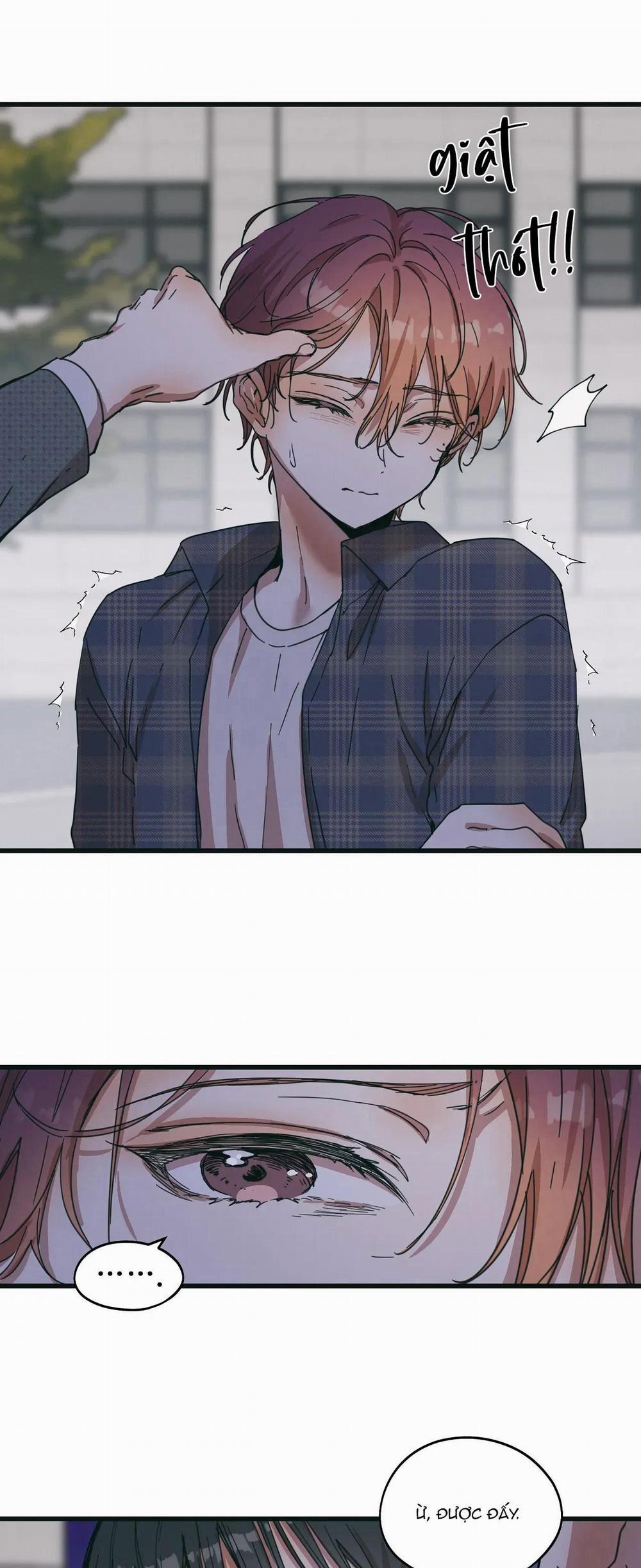 Bạn Cùng Phòng Chuẩn Gu 36 QK CỦA HYUN trang 23