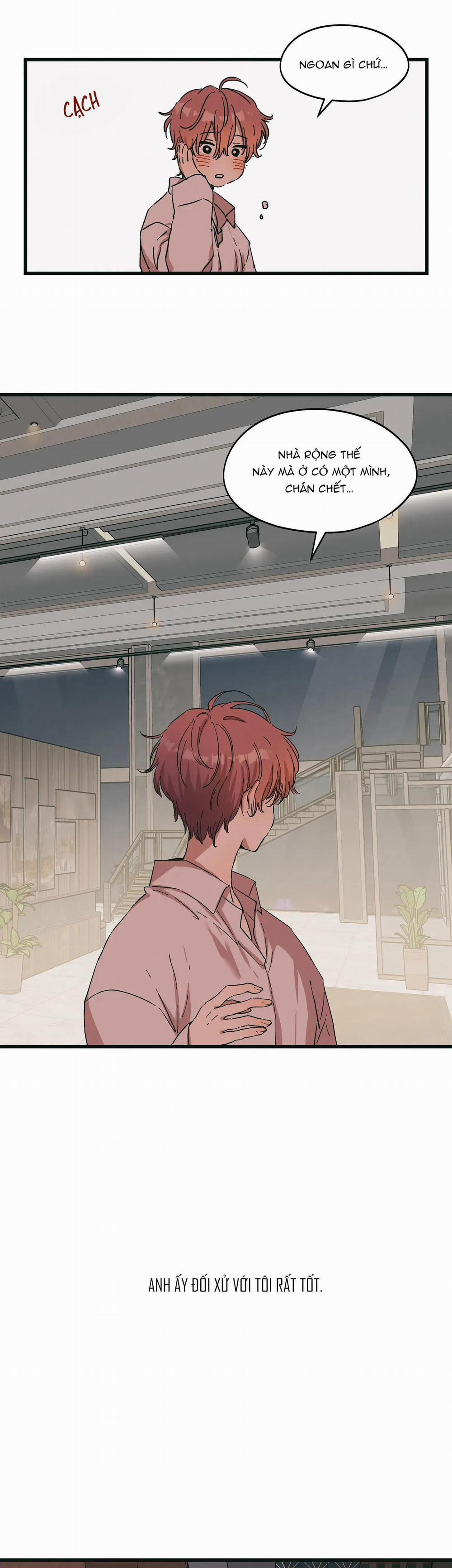 Bạn Cùng Phòng Chuẩn Gu 37 trang 5