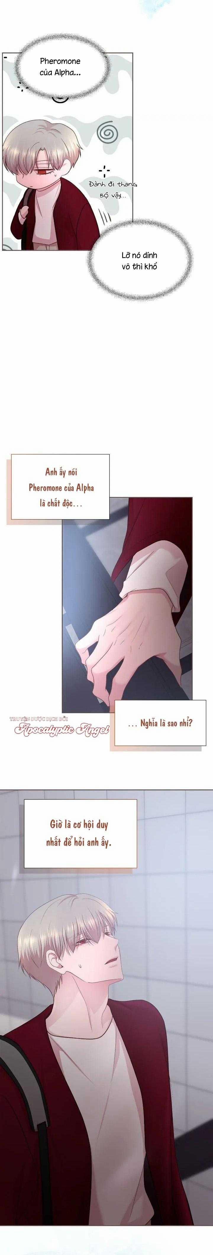 Bạn Đời Định Mệnh 10 trang 22