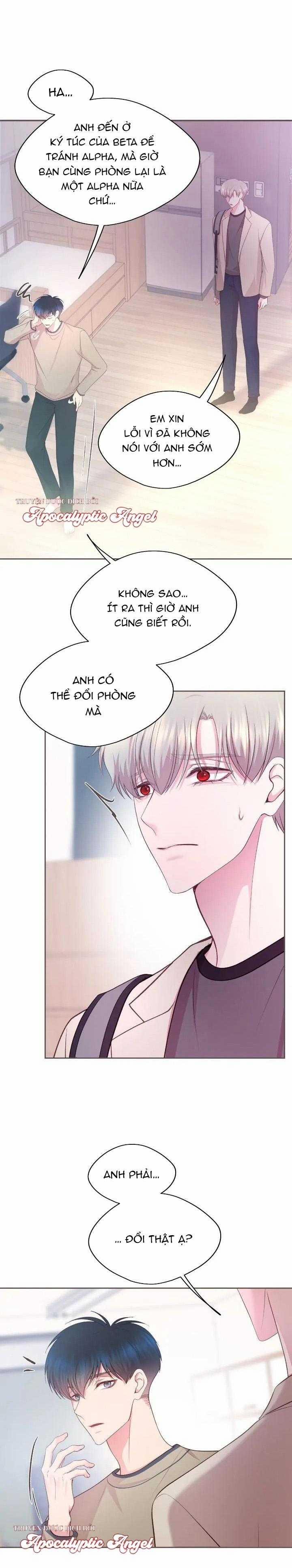 Bạn Đời Định Mệnh 10 trang 4