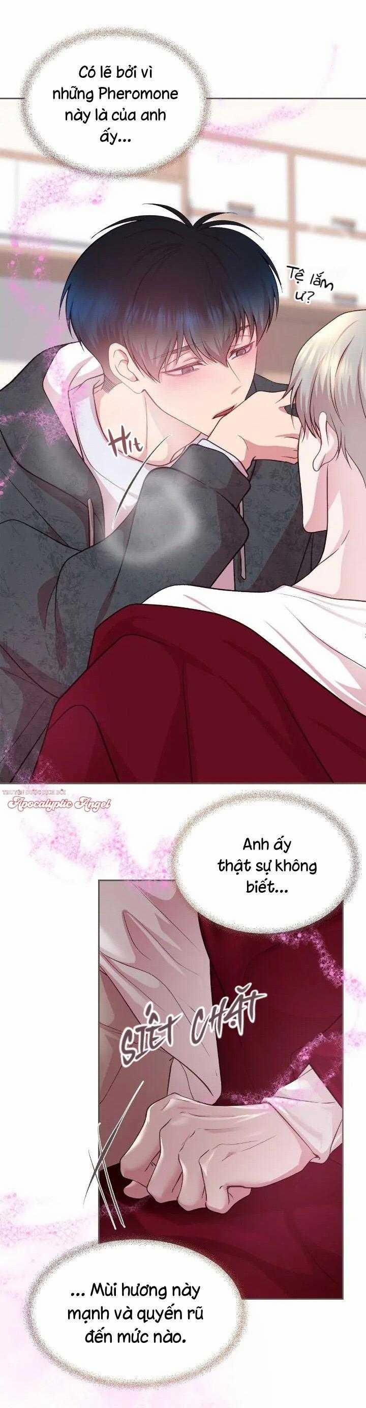 Bạn Đời Định Mệnh 11 trang 5