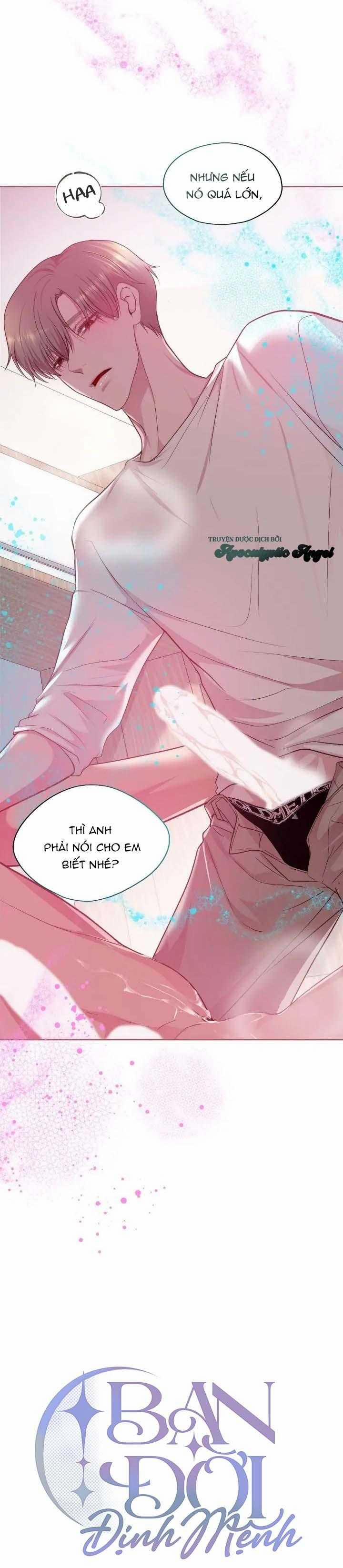 Bạn Đời Định Mệnh 12 trang 13