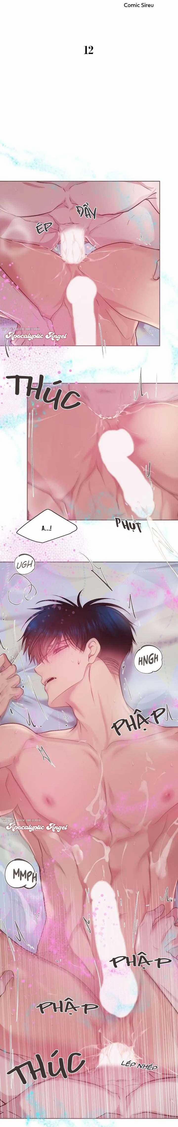 Bạn Đời Định Mệnh 12 trang 14