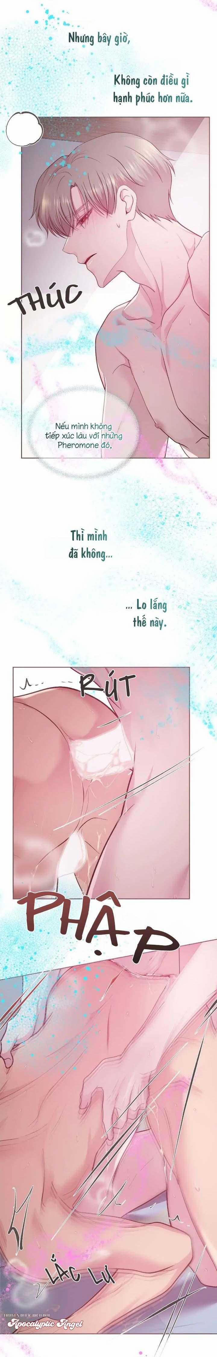 Bạn Đời Định Mệnh 12 trang 16