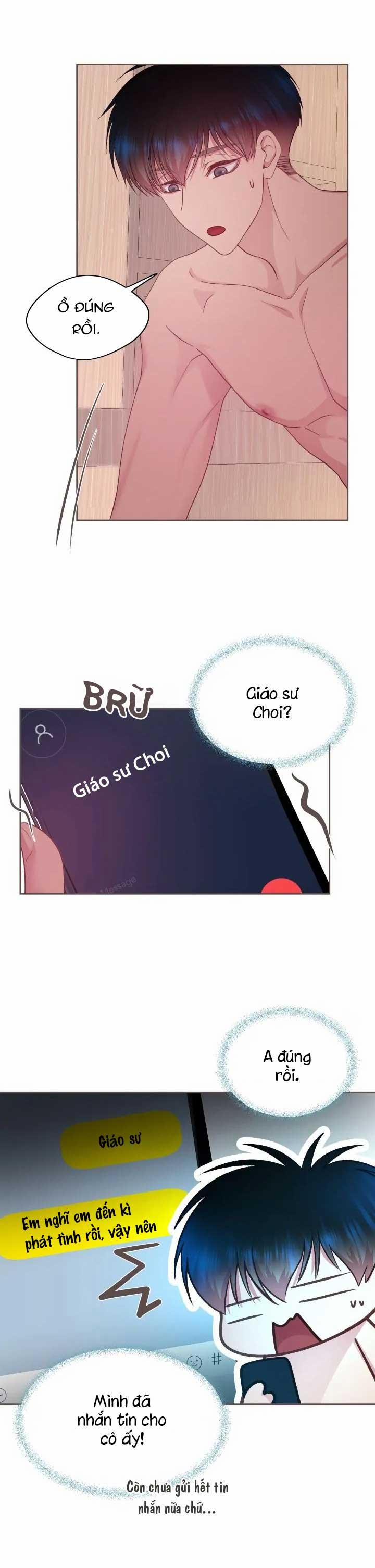 Bạn Đời Định Mệnh 13 trang 11