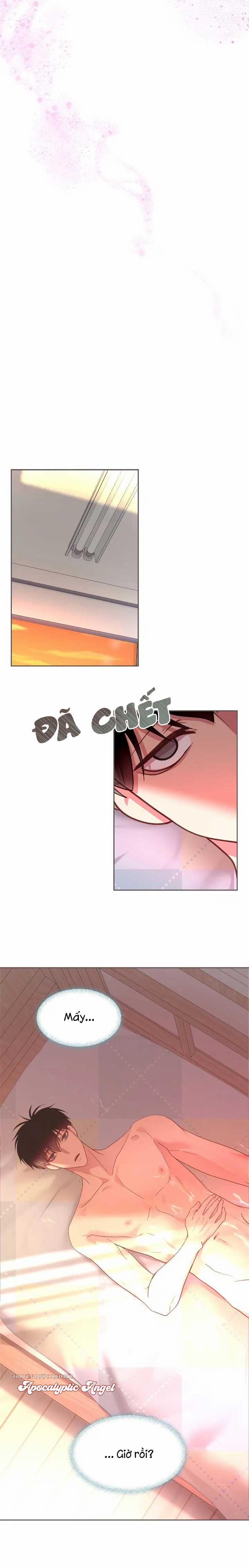 Bạn Đời Định Mệnh 13 trang 6