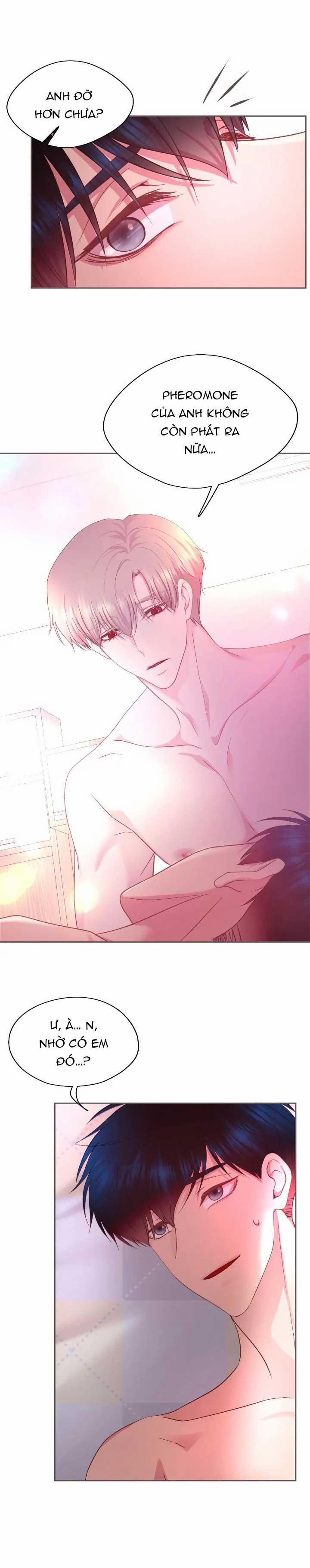 Bạn Đời Định Mệnh 13 trang 7