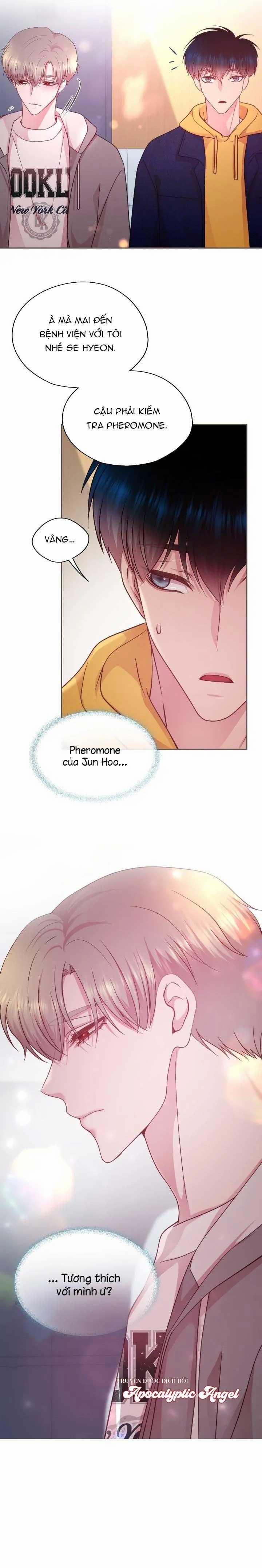 Bạn Đời Định Mệnh 14 trang 12