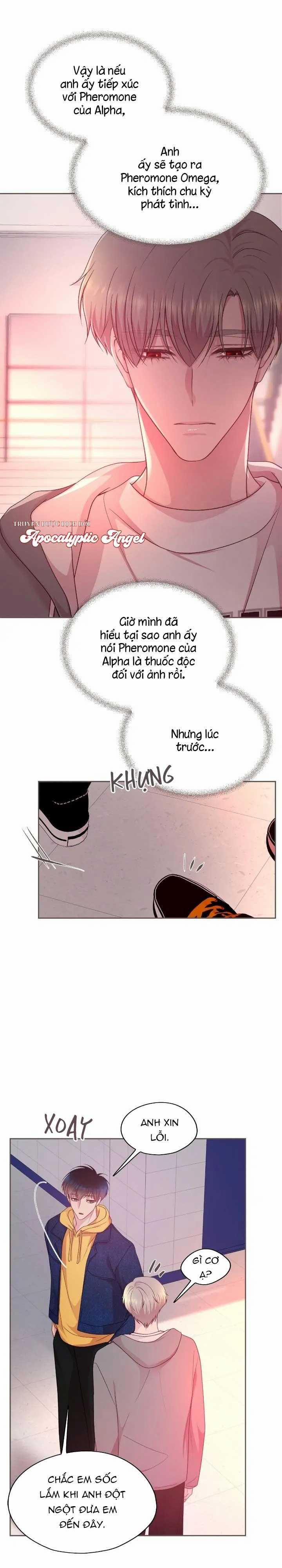 Bạn Đời Định Mệnh 14 trang 14