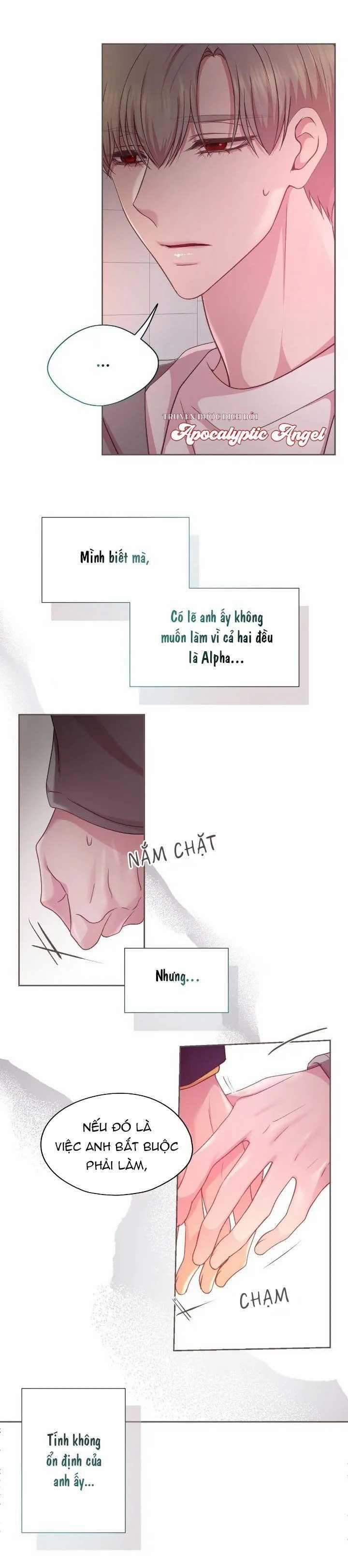 Bạn Đời Định Mệnh 14 trang 20