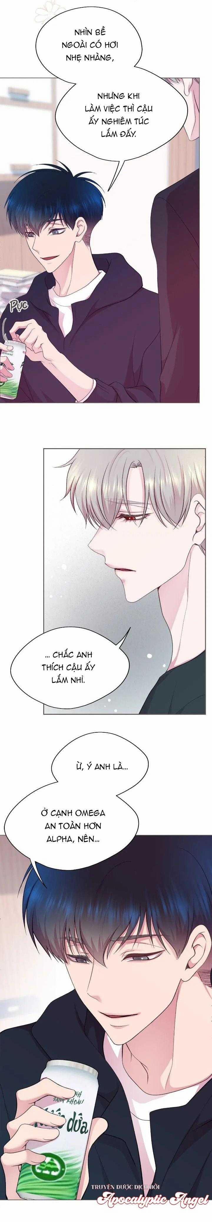 Bạn Đời Định Mệnh 16 trang 13