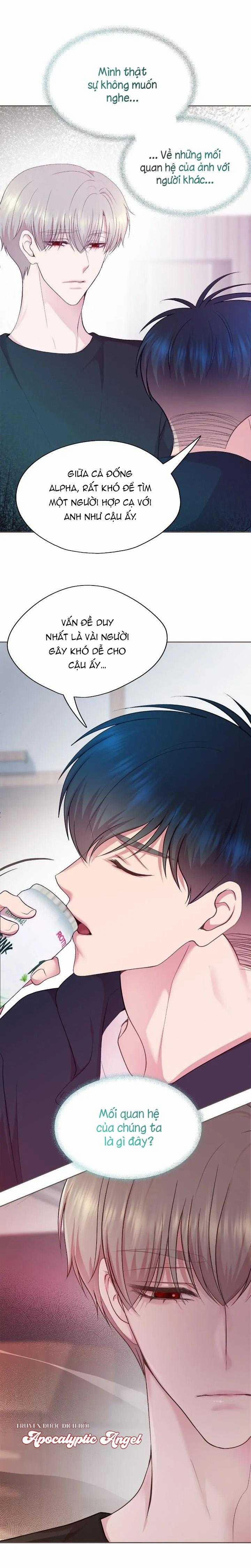 Bạn Đời Định Mệnh 16 trang 14