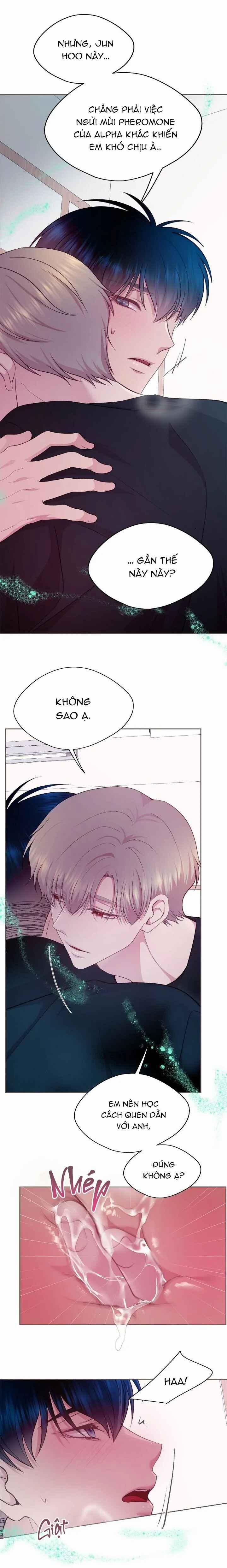 Bạn Đời Định Mệnh 18 trang 12