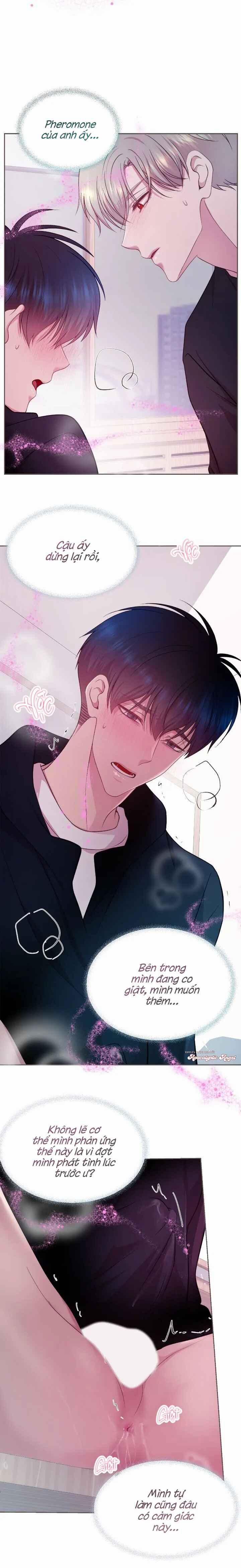 Bạn Đời Định Mệnh 18 trang 17