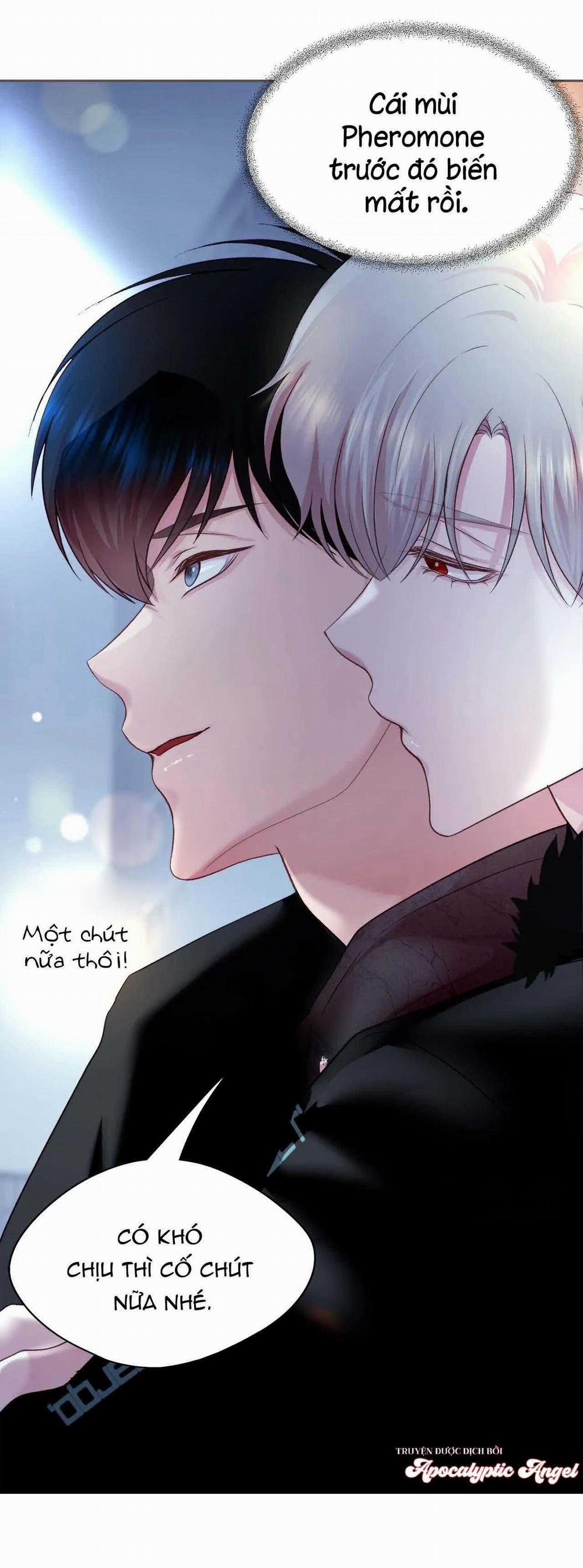 Bạn Đời Định Mệnh 8 trang 11