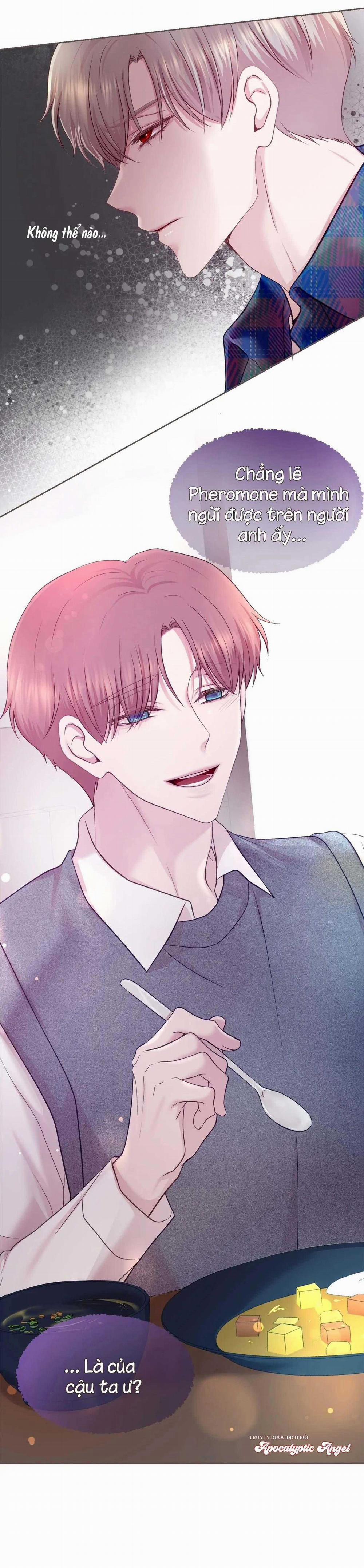 Bạn Đời Định Mệnh 8 trang 33