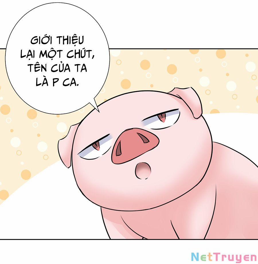 Bản Giáo Chủ Thân Bất Do Kỷ 35 trang 46