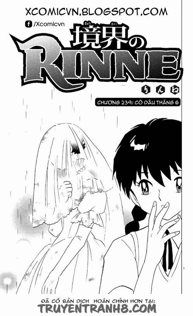 Bạn Học Bí Ẩn 239 trang 0