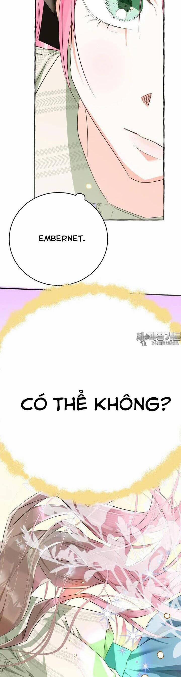 Bạn Sẽ Chết Nếu Không Biết Luật Tiểu Thuyết 30 trang 5