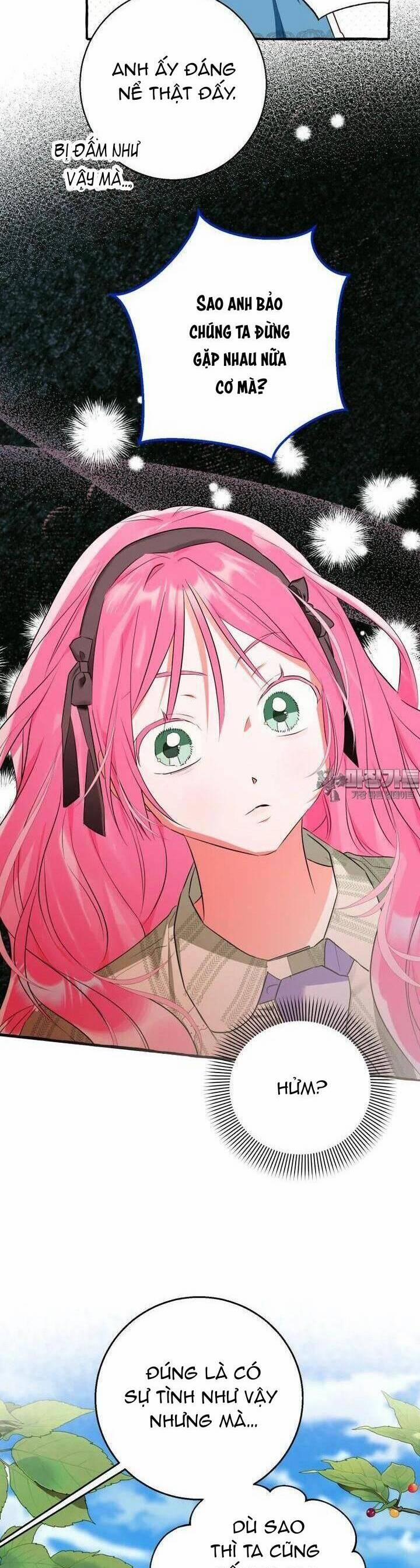 Bạn Sẽ Chết Nếu Không Biết Luật Tiểu Thuyết 31 trang 10