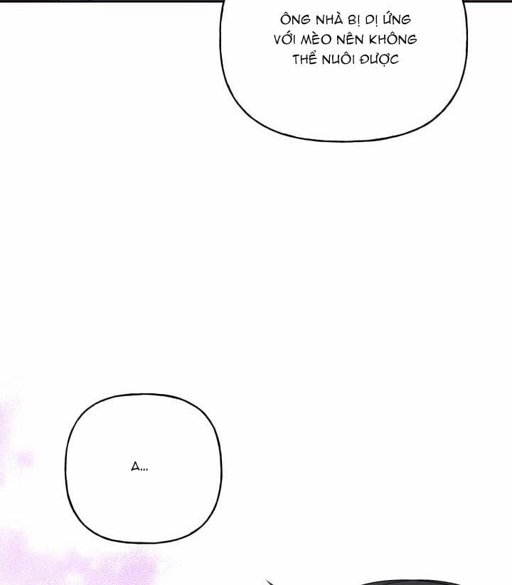 Bạn Sẽ Follow Tôi Chứ? 62 trang 80