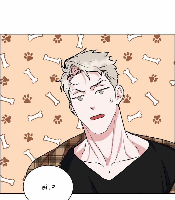 Bạn Sẽ Follow Tôi Chứ? 67 trang 44