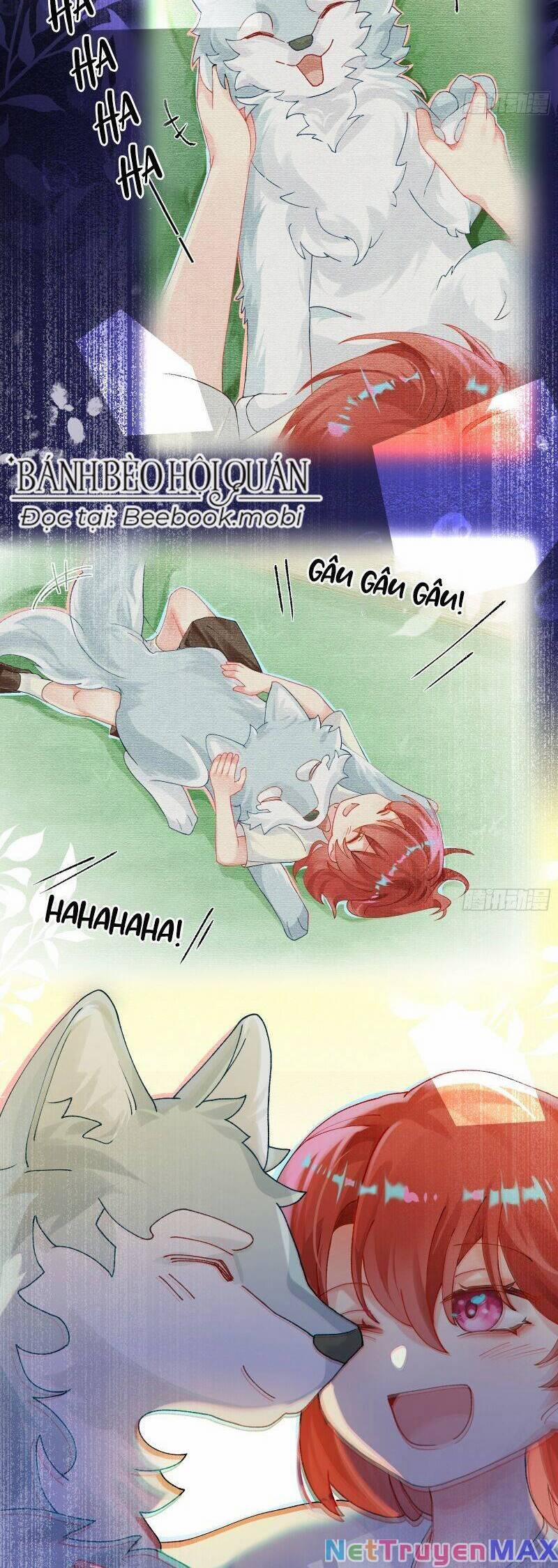 Bạn Trai Biến Dị Của Tôi!!! 11 trang 6