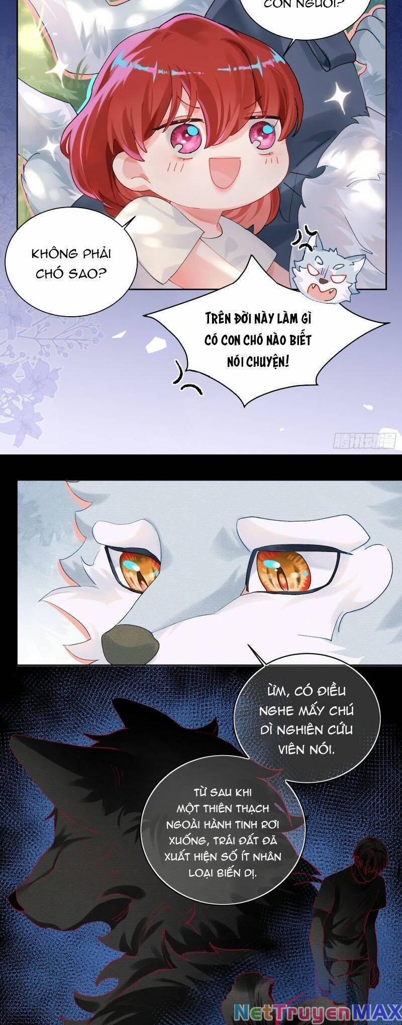 Bạn Trai Biến Dị Của Tôi!!! 12 trang 12