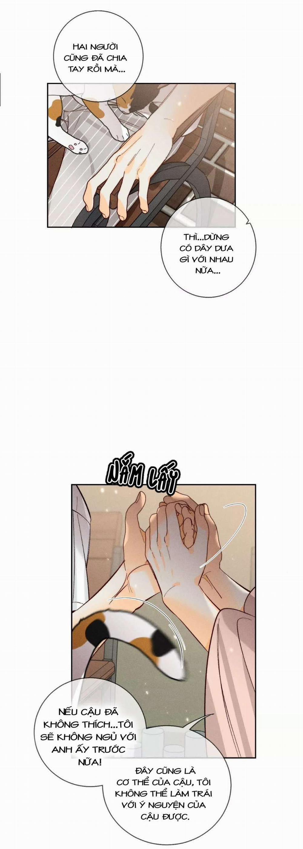 Bạn Trai Nửa Đường Nửa Muối 48 trang 17