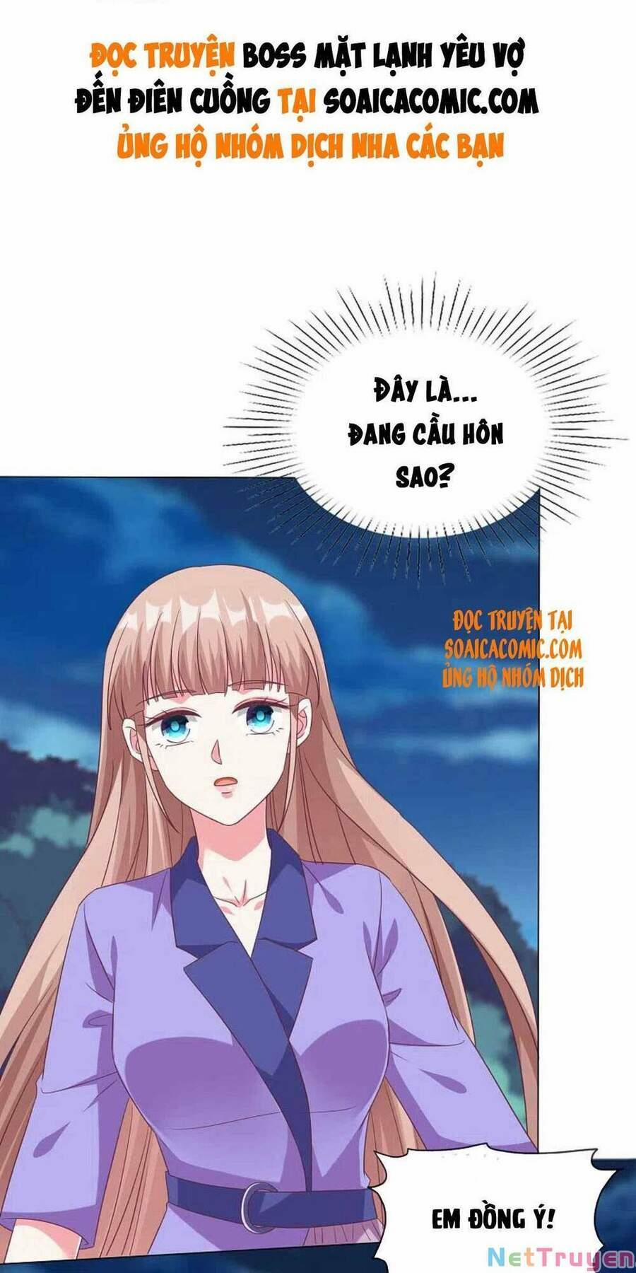 Băng Sơn Tổng Tài Sủng Thê Đến Vô Đạo 195 trang 0