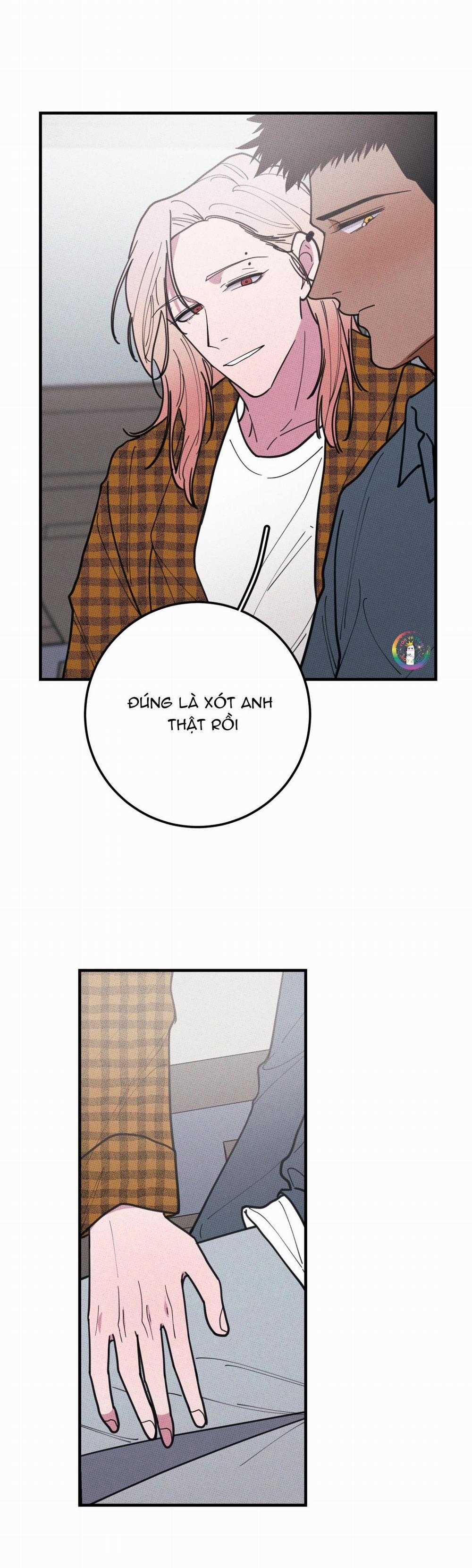 BÁNH QUY TẨM ĐÁ (END) 38 trang 13