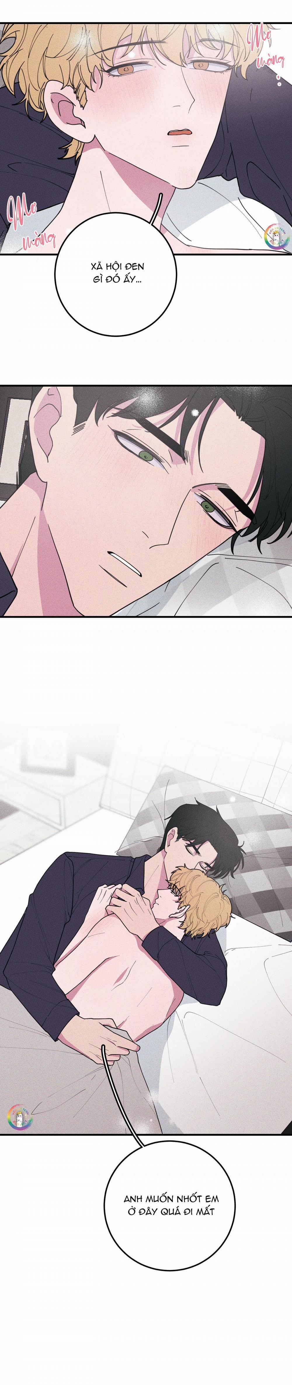 BÁNH QUY TẨM ĐÁ (END) 39 Hàng Không Che trang 12