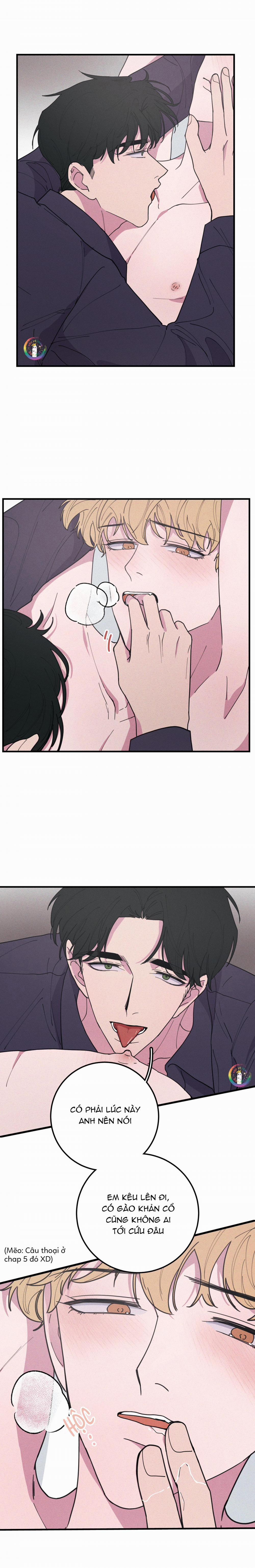 BÁNH QUY TẨM ĐÁ (END) 39 Hàng Không Che trang 8