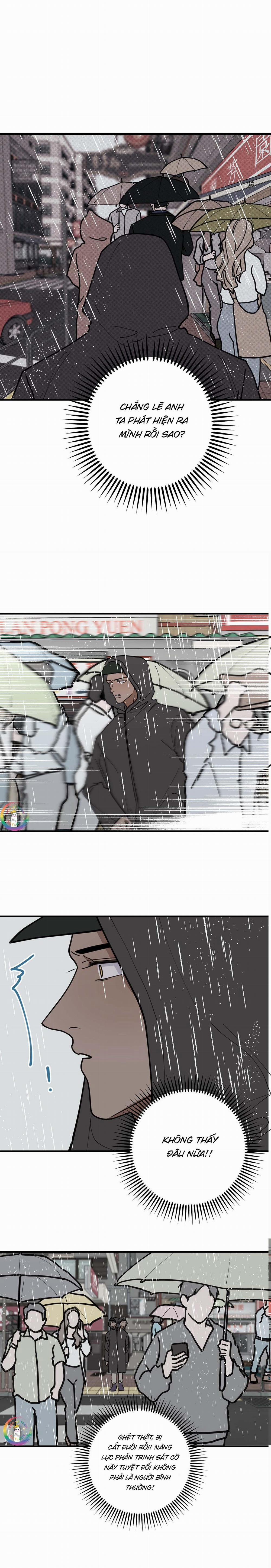 Bánh Quy Tẩm Đá 30 trang 8