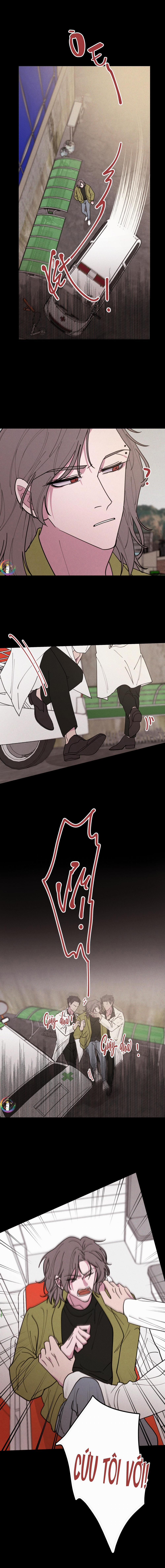 Bánh Quy Tẩm Đá 34 trang 4