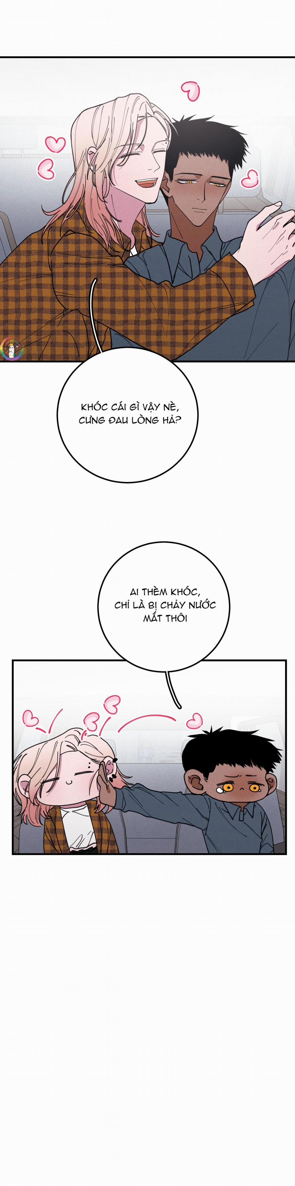 Bánh Quy Tẩm Đá 38 trang 12