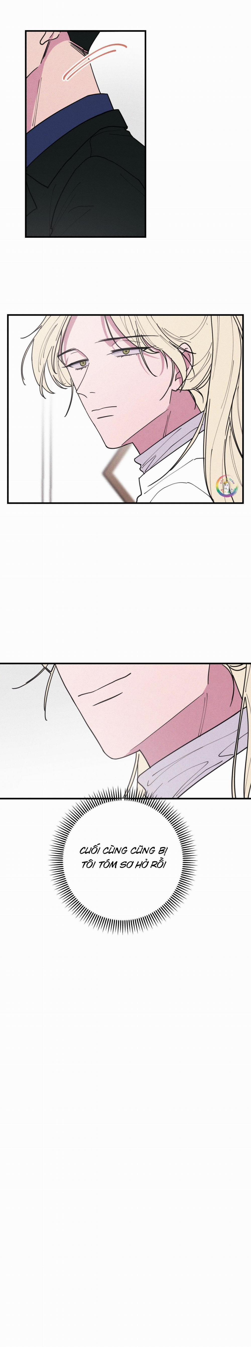 Bánh Quy Tẩm Đá 41 trang 5