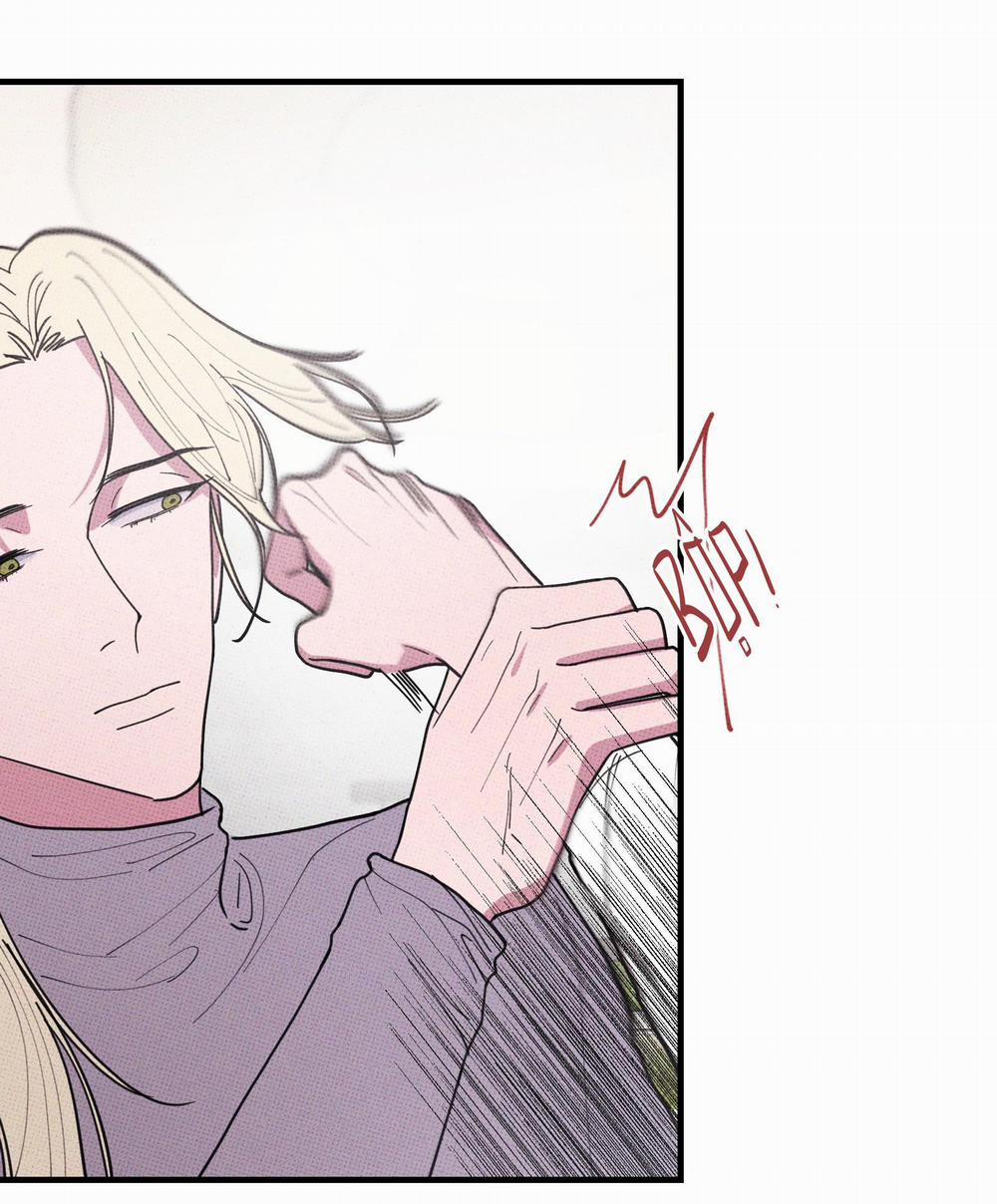 Bánh Quy Tẩm Đá 46 trang 31