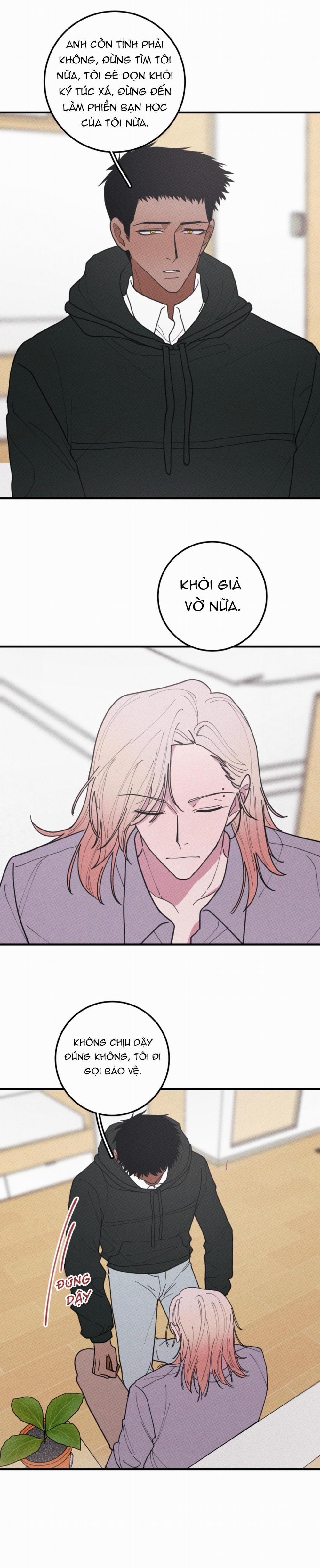 Bánh Quy Tẩm Đá 48 trang 8