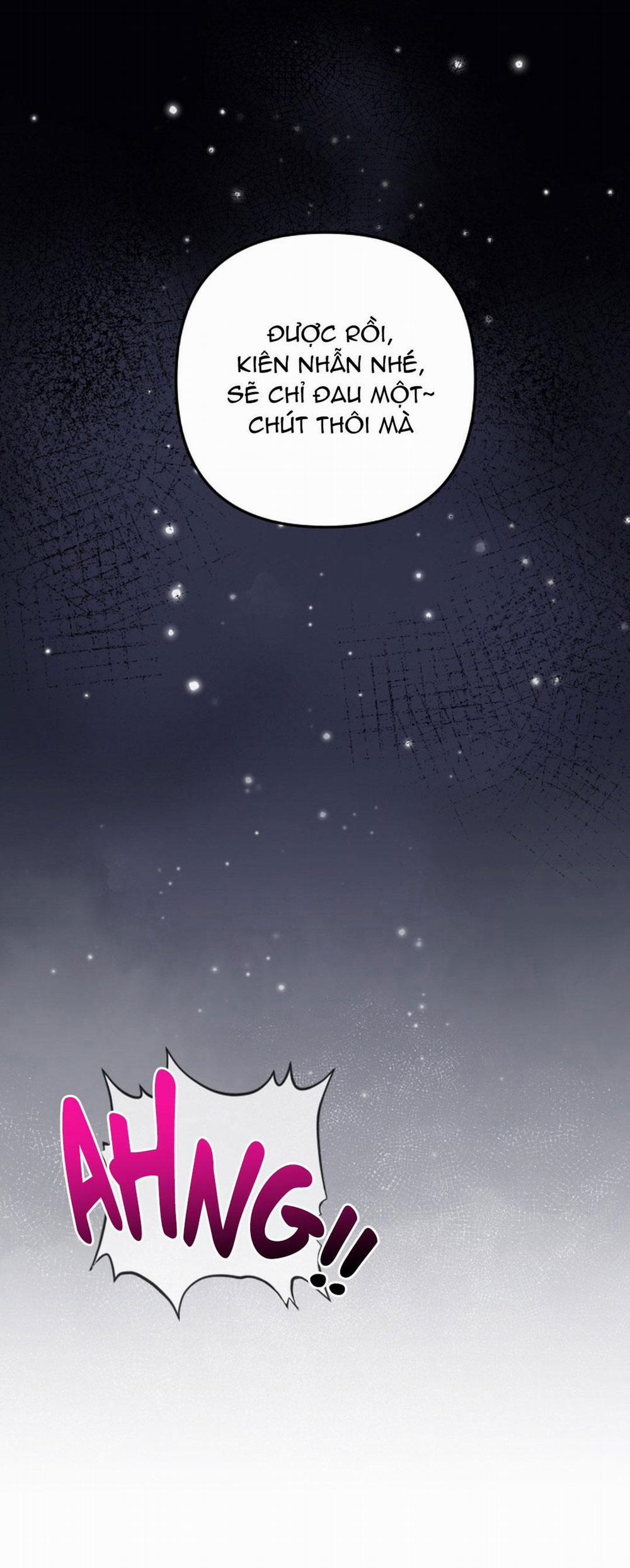 Báo Cáo Chụp Tuyến Tiền Liệt 0 trang 12