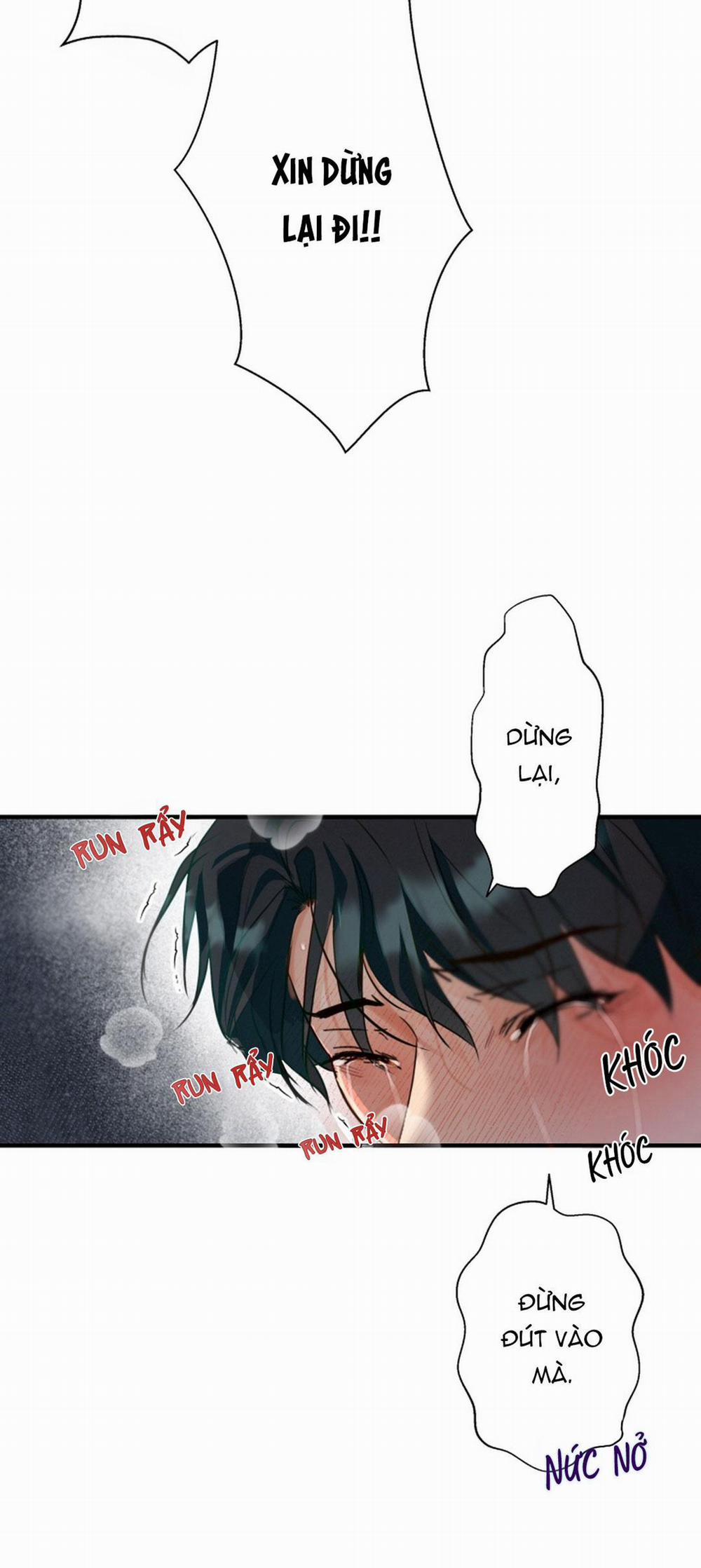 Báo Cáo Chụp Tuyến Tiền Liệt 4 trang 28