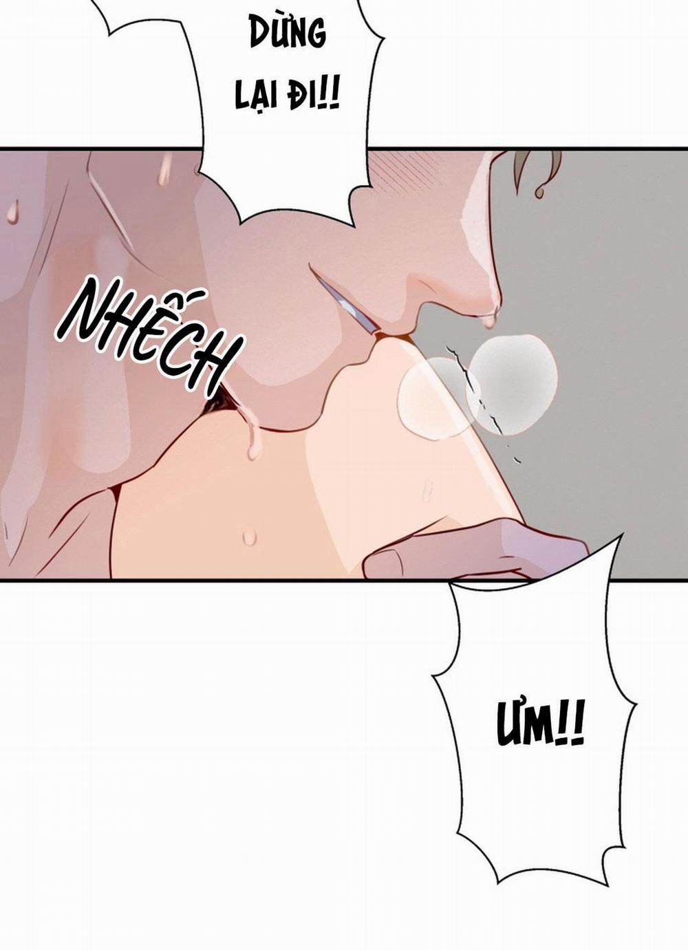 Báo Cáo Chụp Tuyến Tiền Liệt 5 trang 11