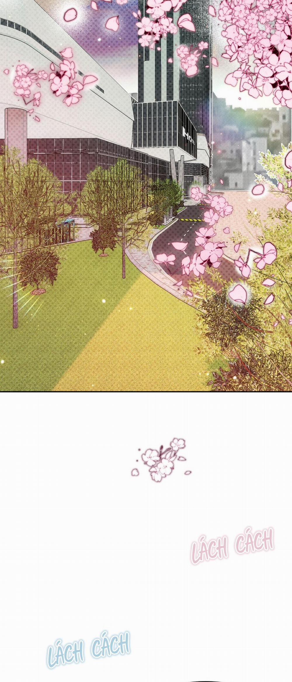 Báo Cáo Chụp Tuyến Tiền Liệt 5 trang 55