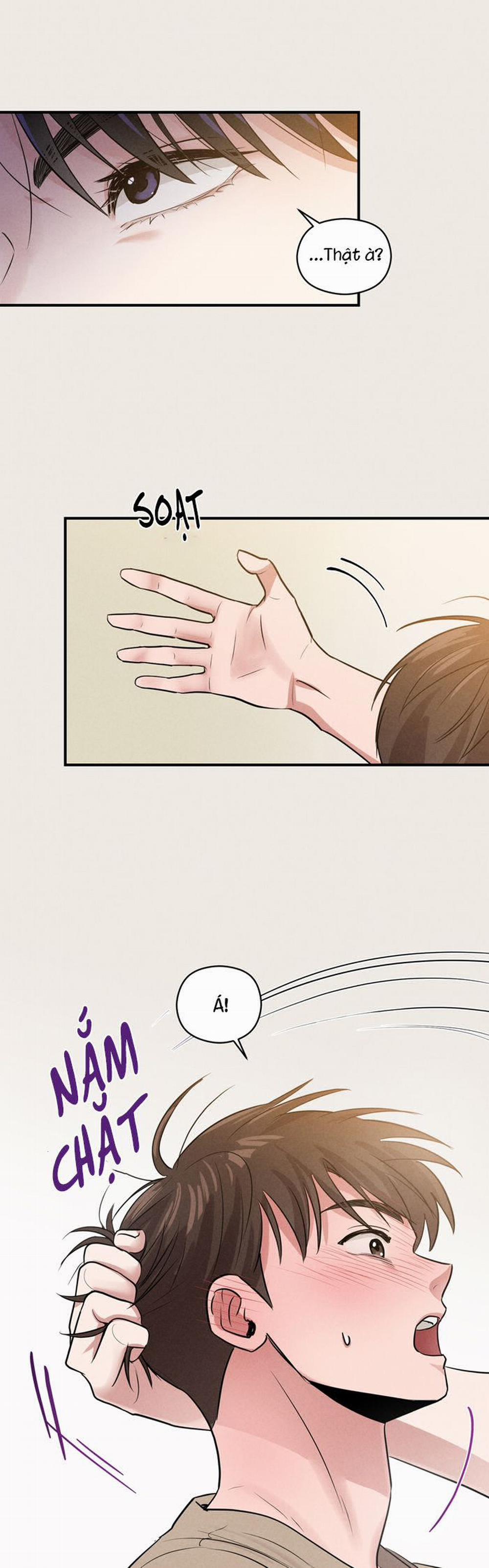 Báo Cáo Thanh Xuân 1995 11 trang 16